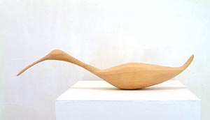 Adrian Shiel ~ click for larger view