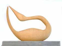 Adrian Shiel - click for details