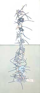 Kate Wilkinson ~ click for larger view